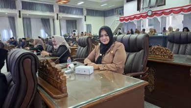 ANGGOTA DPRD - Wardatun Nur Jamilah