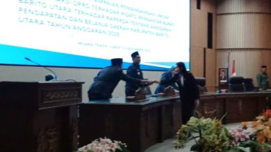 F-PDI PERJUANGAN - NARUK SARITANI